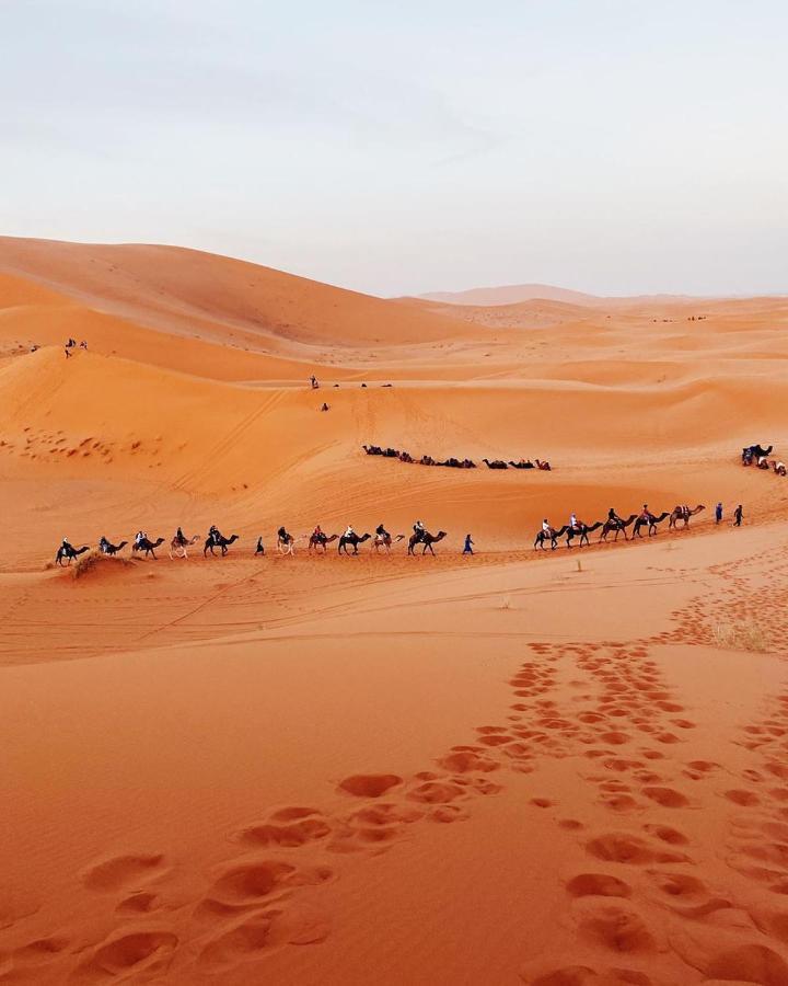 Camel Trekking Desert Camp 梅尔祖卡 外观 照片